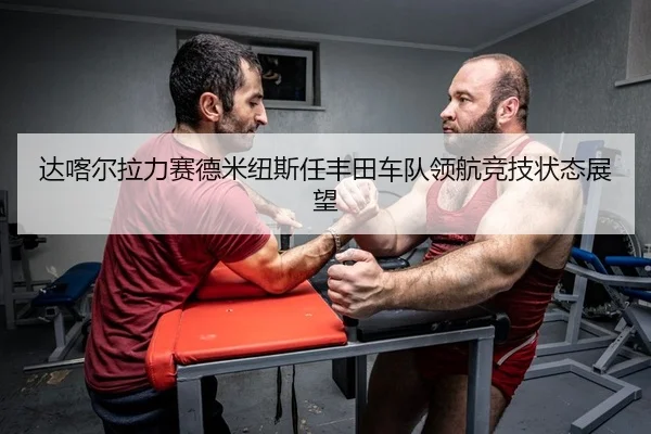 达喀尔拉力赛德米纽斯任丰田车队领航竞技状态展望